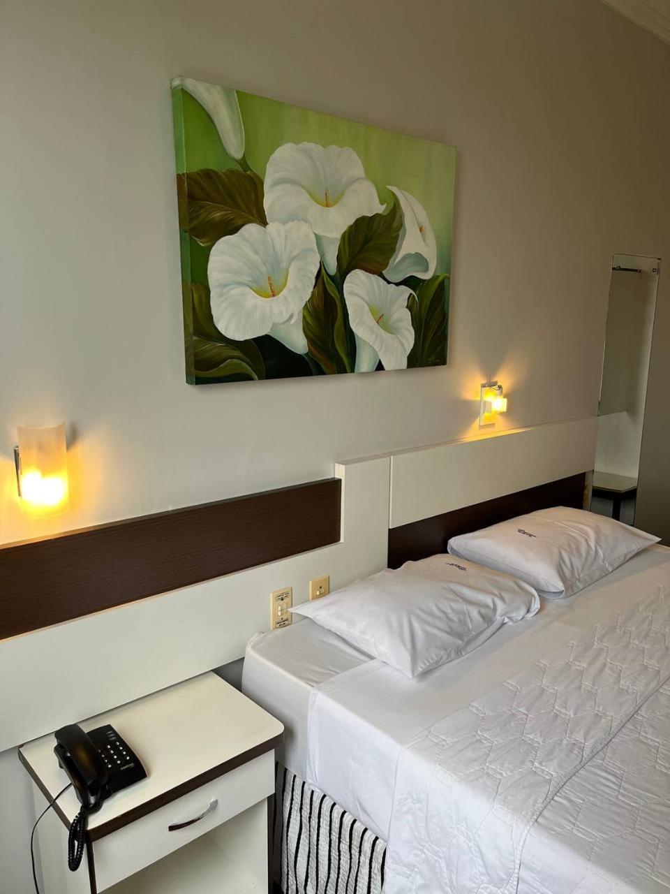 Oscar Palace Hotel - Centro De Tubarão מראה חיצוני תמונה